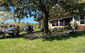 Villa Enli